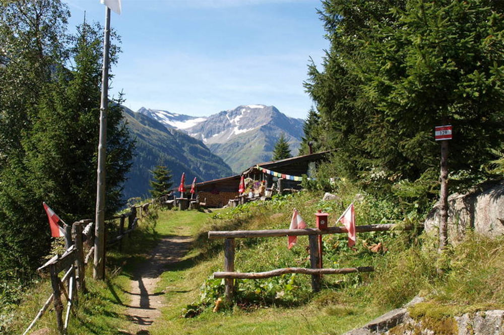 Böckfeldalm in Böckstein