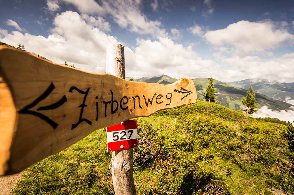 Zirbenweg am Graukogel