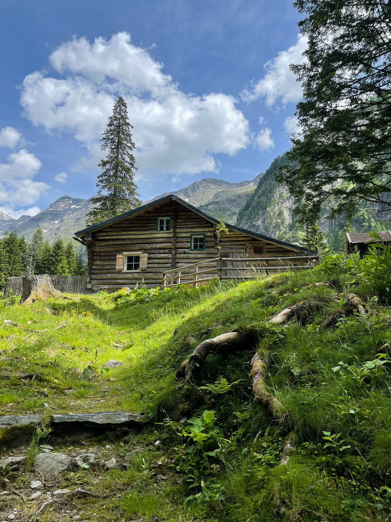 Radecckalm im Sommer